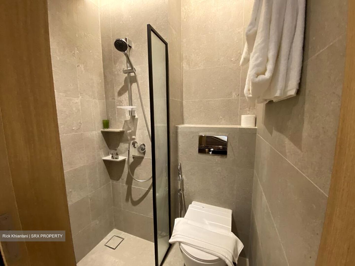 Mount Elizabeth Link (D9), Condominium #497013671